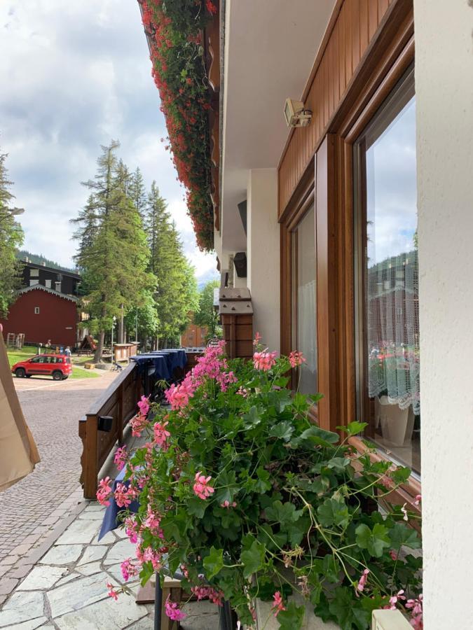 Hotel Capriolo Madesimo Kültér fotó